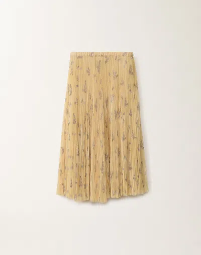 Fabiana Filippi Pleated Tulle Skirt With Painted Botanical Print In Canary