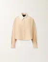 Fabiana Filippi Lace-collar Cotton Shirt