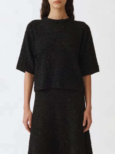 FABIANA FILIPPI JUMPER FABIANA FILIPPI WOMAN,G44634002