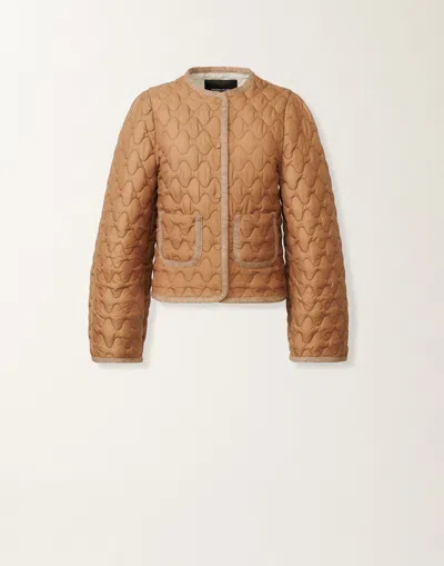 Fabiana Filippi Quilted Technical Down Jacket In Brown