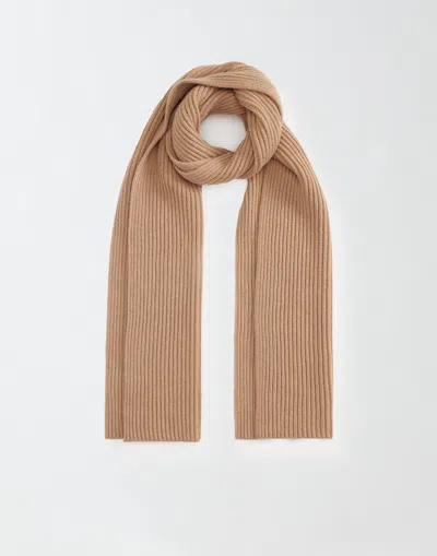 Fabiana Filippi Platinum Scarf In Brown