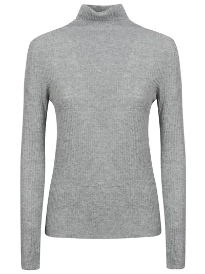 Fabiana Filippi Ribbed Turtleneck Sweater In Gray