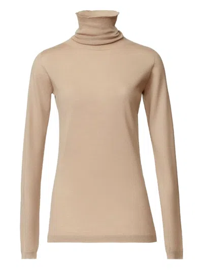 Fabiana Filippi Roll-neck Long-sleeve Jumper In Brown