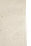 Fabiana Filippi Scarf With Micro Sequins In Beige