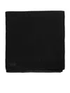 Fabiana Filippi Scarves In Black