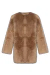 Fabiana Filippi Shearling Jacket In Brown