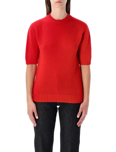 Fabiana Filippi Short Sleeve Cashmere Knit Sweater In Red