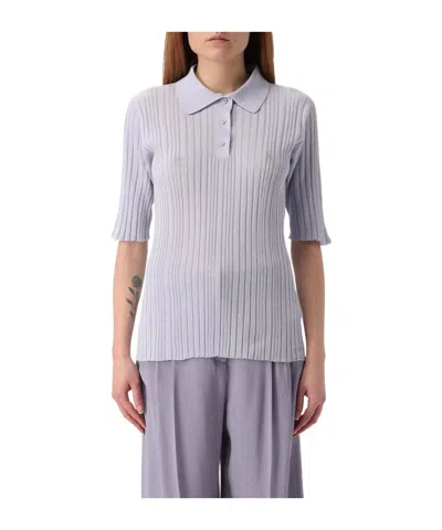 Fabiana Filippi Single-row Rib Knit Sweater In Purple