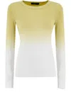 Fabiana Filippi Slim Fit Cotton Sweater With Shaded Print