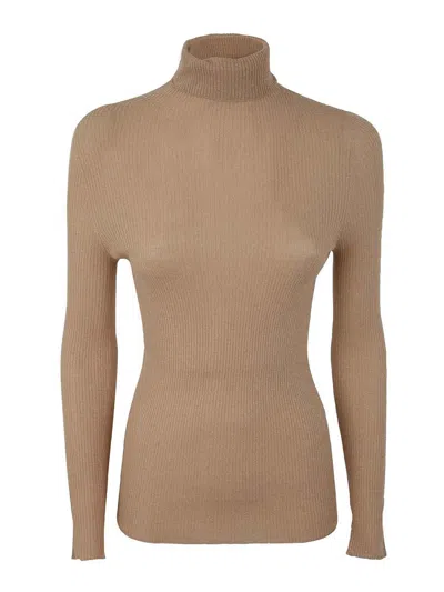 Fabiana Filippi Ribbed Lurex Turtle Neck Sweater In Brown