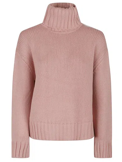 Fabiana Filippi Turtle Neck Sweater In Pink
