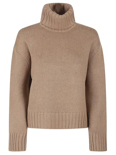 Fabiana Filippi Turtle Neck Sweater In Brown