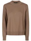 Fabiana Filippi Sweaters Corteccia In Brown