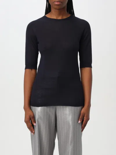Fabiana Filippi Sweaters In Blue