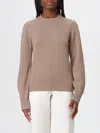 Fabiana Filippi Sweaters Corteccia In Brown