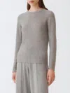 Fabiana Filippi Sweater  Woman Color Grey In Gray