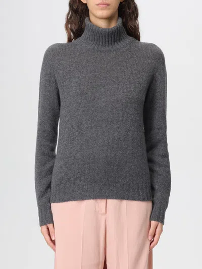 Fabiana Filippi Sweater  Woman Color Grey In Gray