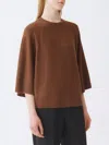 Fabiana Filippi Sweater  Woman Color Mahogany In Brown