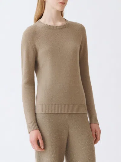Fabiana Filippi Sweater  Woman Color Olive In Brown
