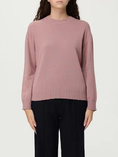 Fabiana Filippi Sweater  Woman Color Pink In Pattern