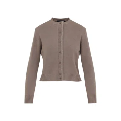Fabiana Filippi Sweater In Brown