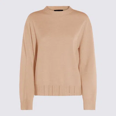 Fabiana Filippi Sweaters Light And Natural In Brown