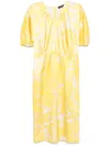 Fabiana Filippi Tilia-print Silk Dress In Yellow