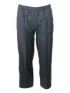 Fabiana Filippi Wool Blend Pants In Gray
