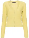 Fabiana Filippi Cardigan Mit Pailletten In Grün