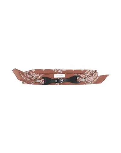 Fabiana Filippi Woman Belt Chocolate Brown Size 36 Textile Fibers, Leather
