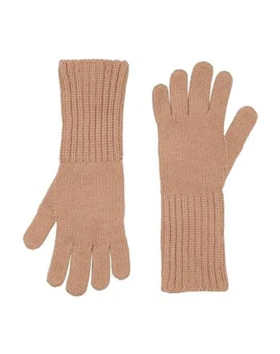 Fabiana Filippi Woman Gloves Camel Size Onesize Virgin Wool, Silk, Cashmere In Brown
