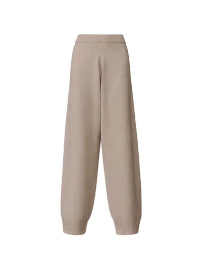 Fabiana Filippi Wool Blend Trousers In Brown