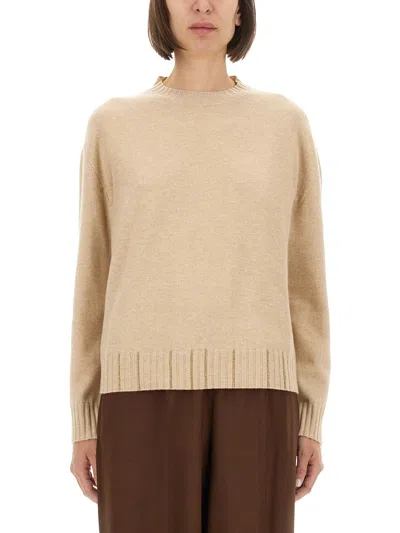 Fabiana Filippi Beige Wool Blend Sweatshirts In Neutral