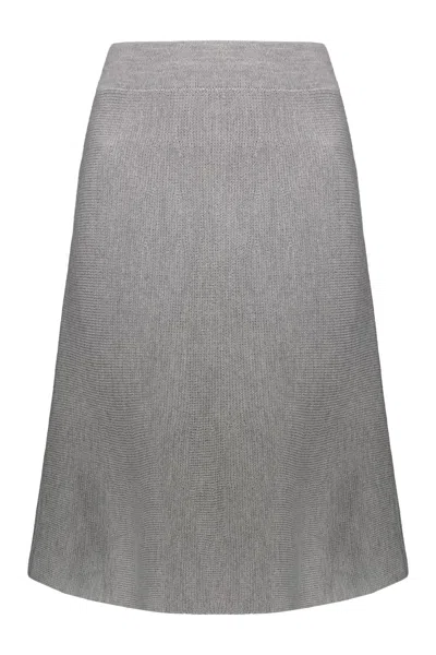 Fabiana Filippi Wool Skirt In Gray