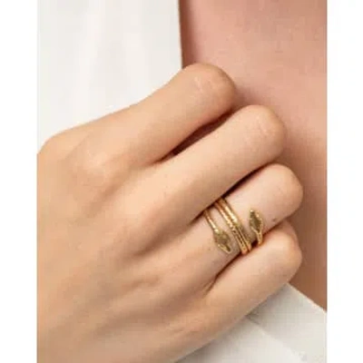 Fabien Ajzenberg Ring  In Gold