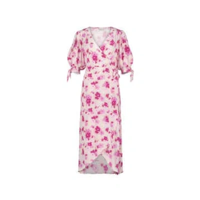 Fabienne Chapot Hannah Dress In The Coppola Print In Pink
