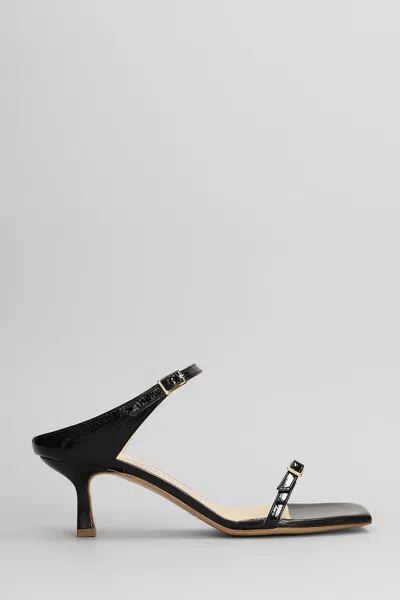 Fabio Rusconi Sandals In Black Leather