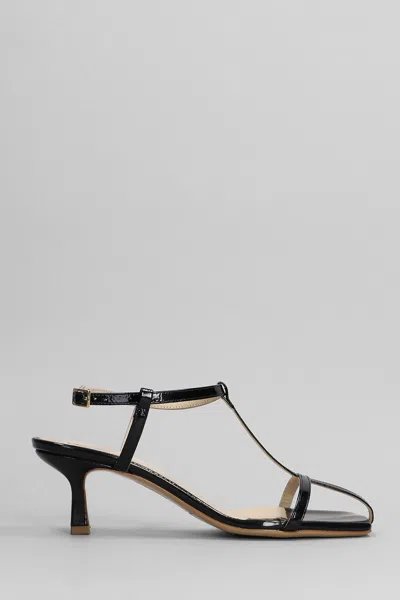 Fabio Rusconi Sandals In Black Leather