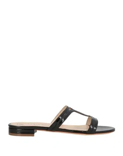 Fabio Rusconi Woman Sandals Black Size 7 Leather