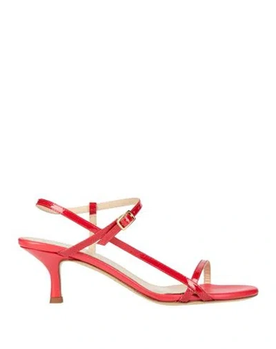 Fabio Rusconi Woman Sandals Red Size 7 Leather