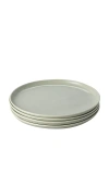 Fable Dinner Plates In Green