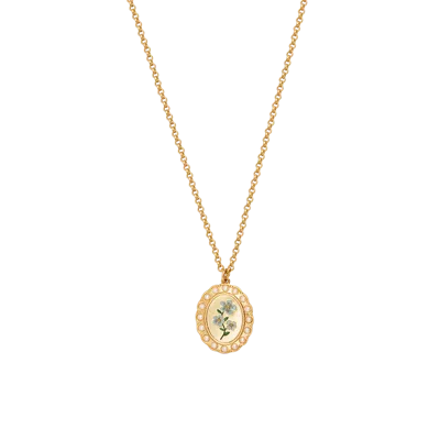 Fable England Forget Me Not Pearl Cameo Necklace In Gold
