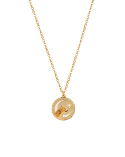 Fable England Lioness Spirit Guide Gold Chain Necklace