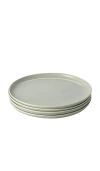 Fable Salad Plates In Green