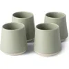 Fable The Cups In Beachgrass Green