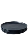 Fable The Salad Plates In 幽蓝色