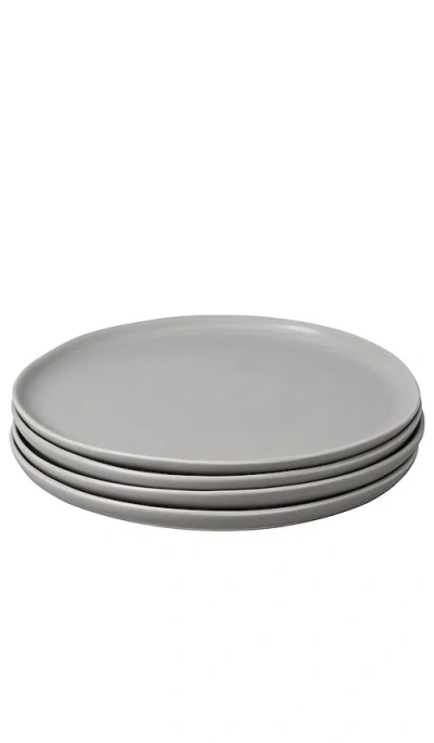 FABLE THE SALAD PLATES SET OF 4