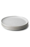 Fable The Set Of 4 Salad Plates In Stone Blue