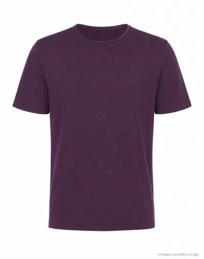 Fabrizio Del Carlo Purple Regular Fit Cotton Round Neck T-shirt