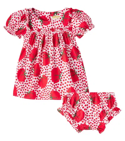 Fabula Baby Printed Cotton Dress And Bloomers Set In Multi